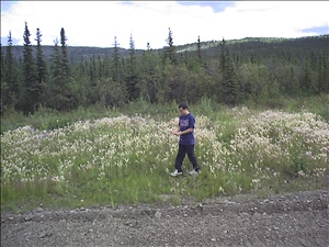 071899 alaskaDSC00006.jpg